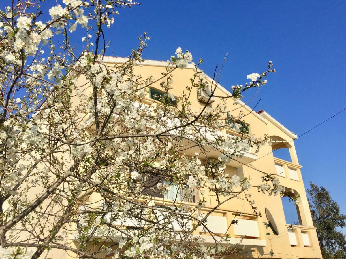 Apartmani Bosiljka Nin Eksteriør bilde